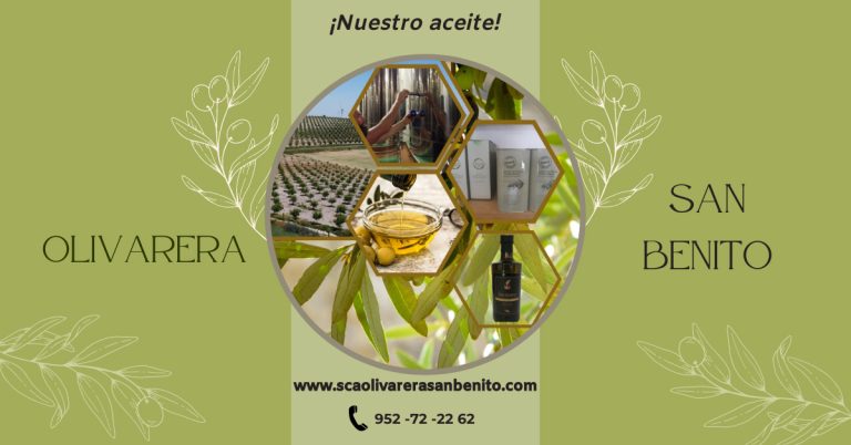 Olivarera San Benito 1 768x402